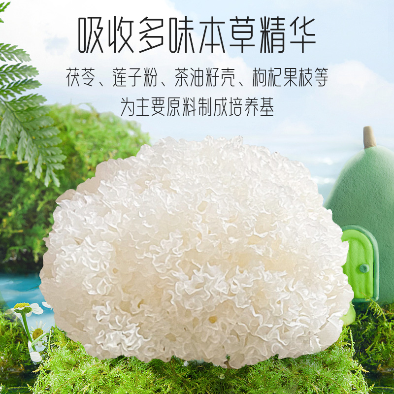 【富昌】银小燕有机本草银耳羹120g
