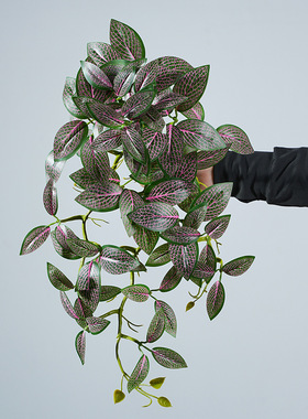 仿真植物网纹草西瓜叶网纹叶壁挂吊藤植物墙配材藤条橱窗装饰盆栽