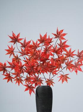 仿真枫叶枫树叶绿植鸡爪树枝假树叶仿真叶红枫大型扦插花材造景