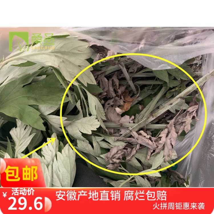 【桑叒】薄荷膏艾草膏套餐新鲜清凉薄荷叶艾草叶带枝条驱蚊组合-图3