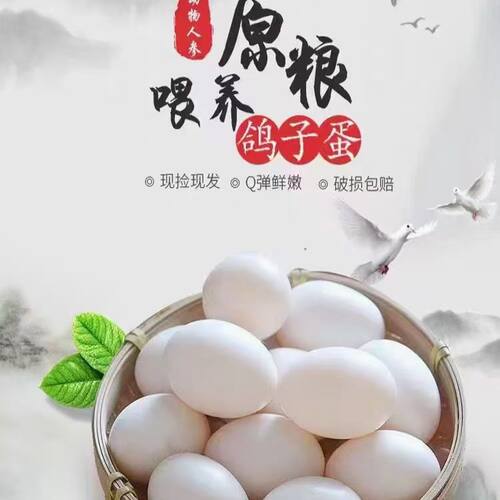 顺丰包邮新鲜纯粮鸽蛋30枚600克五谷鸽蛋老人孕妇宝宝辅食 - 图1