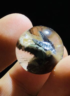 18.5mm 水晶包裹少见矿物，巴西锐钛矿，像龙角非常完整漂亮