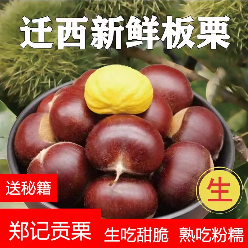 正宗迁西板栗生新鲜皮薄好剥香甜糯板栗结婚用生栗子野生油栗大粒_虎窝淘
