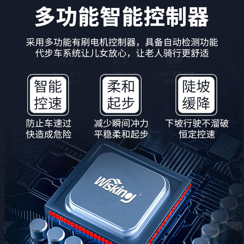 威之群老人代步车四轮电动双人可折叠家用老年残疾智能助力电瓶车 - 图1