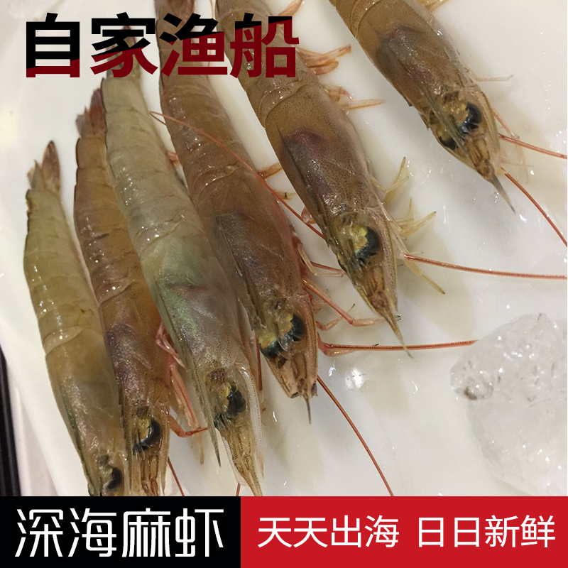 深海野生海虾阳江中虾深海麻虾油虾天然白虾闸坡海鲜鲜活剑虾沙虾 - 图0