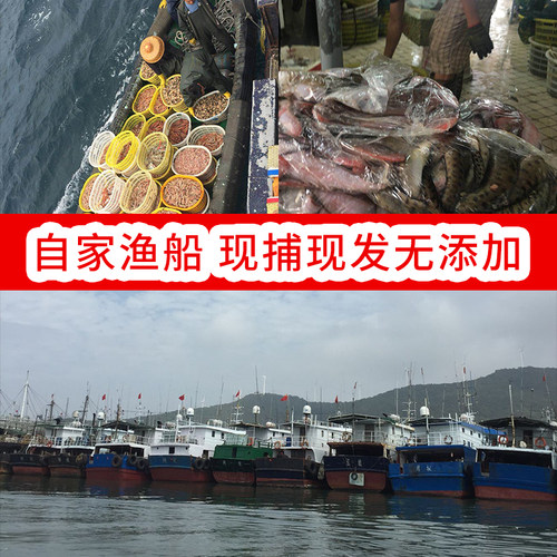 广东3斤包邮野生深海大白虾阳江海鲜特产大虾白500克白虾大虾 - 图1