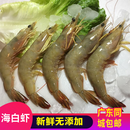 广东3斤包邮野生深海大白虾阳江海鲜特产大虾白500克白虾大虾 - 图2