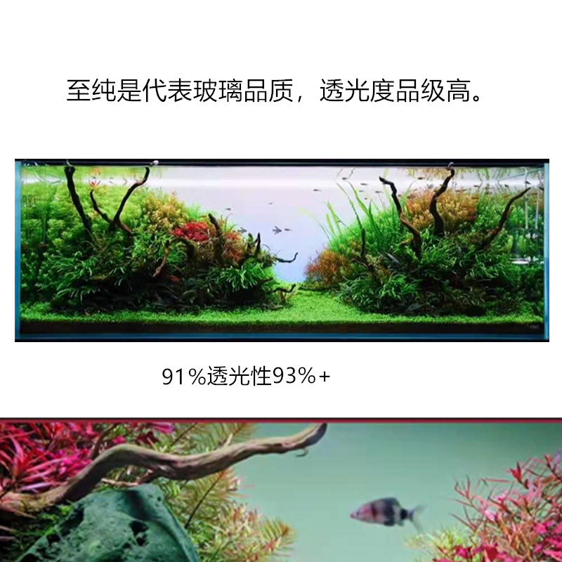 至纯金晶超白鱼缸水草记ada造景玻璃雨林海水缸鱼缸定制工厂直营 天野水草记 淘优券