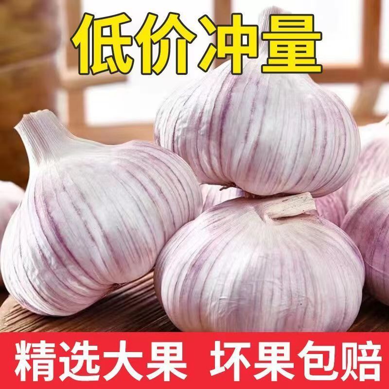 【十足干】干蒜紫白皮大果正宗农家自种干蒜5斤9斤整箱大蒜头蒜干