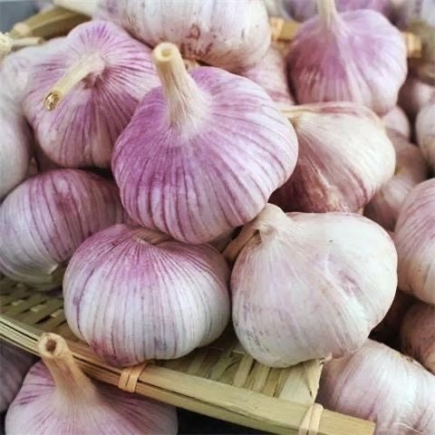 【十足干】干蒜紫白皮大果正宗农家自种干蒜5斤9斤整箱大蒜头蒜干