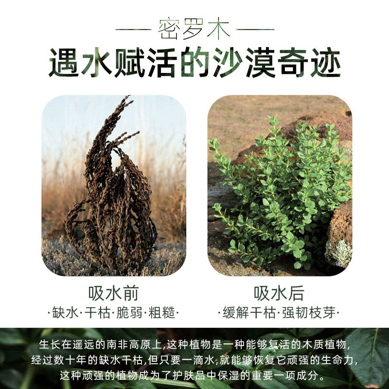 八韵草（原密罗木升级）亮润活肤水500ml保湿补水湿敷化妆水护肤-图0