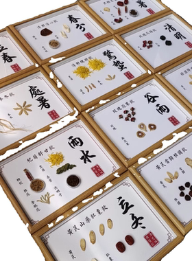 二十四节气中医药标本装饰画24节气茶饮文创展示摆件宣传画传统文