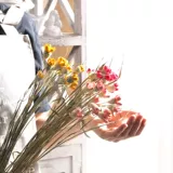 [Lagerstroeemia Flower] Растительное сочетание оригинальной экологической мебели на дому сухие цветы счастливые фрукты цветочные стрельба для опоры комбинация сухие цветы