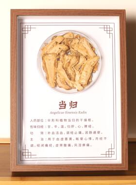 中医文创标本展示材标本装饰画中草药标本相框中医标本墙