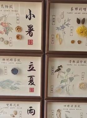 二十四节气标本药食同源药材标本大尺寸饰品创意展示板高颜值石头