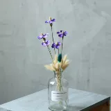 Тысячи слов и тысячи фиолетовых фиолетовых литературных и искусства свежего клуба декоративные художественные высушенные цветы Стрельба по реквизиту. Phalaenopsis