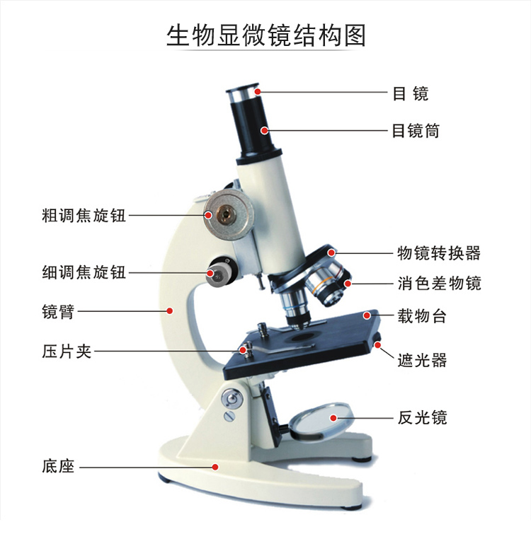 生物显微镜专业初中教科书中考小学高中科学实验光学显微镜1600倍 - 图2