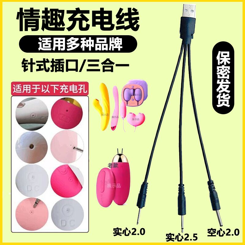 插针式成人专用充电线DC2.5按摩震动棒DC2.0音频针头小怪兽充电器 - 图2