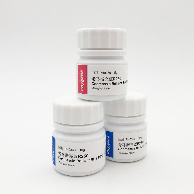 考马斯亮蓝R250 考马斯亮兰R-250 酸性蓝 实验试剂 飞净/PHYGENE - 图3