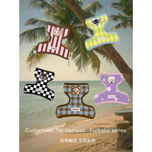 POOJI宠物定制胸背牵引绳背心式遛狗项圈狗绳猫咪狗狗来图DIY礼物 - 图0