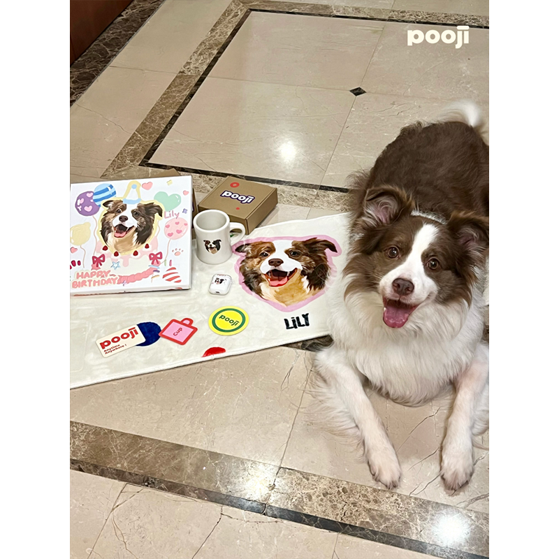 POOJI宠物定制地毯轻奢卧室客厅房间长方形猫咪狗来图DIY礼物,淘宝优惠券,粉丝福利购,淘宝优惠卷