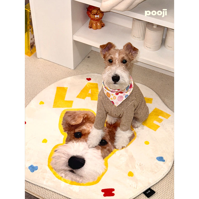 POOJI宠物定制地毯异形卧室客厅房间轻奢猫咪狗狗来图DIY礼物,淘宝优惠券,粉丝福利购,淘宝优惠卷