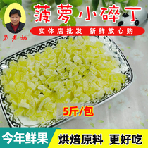 Pineapple Din 1000g Bagged Baking Raw Material Pinewood cake Cake Filling with cooking Porridge Fruits Crushed 5 kg Bulk