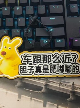 你敢滴我胆子真是肥嘟嘟的不织布黄袋鼠搞笑文字挂件个性汽车装饰