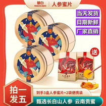 Research White Ginseng Honey Slice Fresh and fresh Changbai Mountain red ginseng Old Official Flagship Store of the Old Official Flagship Store