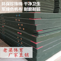 Manufacturer dance mat Training Skill Mat thickened Canvas Gymnastics Mat Supine Mat Martial Arts Training Children Airturn Mat