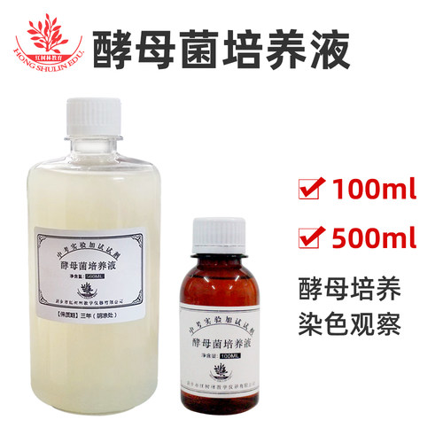 酵母菌培养液中考生物实验操作考试实验用稀碘液洋葱表皮细胞染色 - 图1