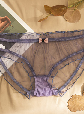 Transparent Mesh Underwear Pure Desire Sexy Girls Glass Yarn