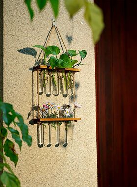Ins Wall Hanging Glass Planter Plant Propagation Tubes with