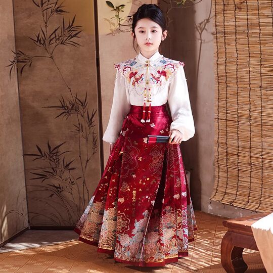Children's horse-faced skirt, ancient style suit, Tang suit, 2025 new style, little girl, Chinese style Hanfu, middle and older children's spring and autumn style