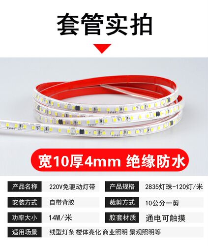 LED灯带 220V 裸板3535高亮120灯 贴片软灯条 8MM 10MM灯带超亮 - 图2