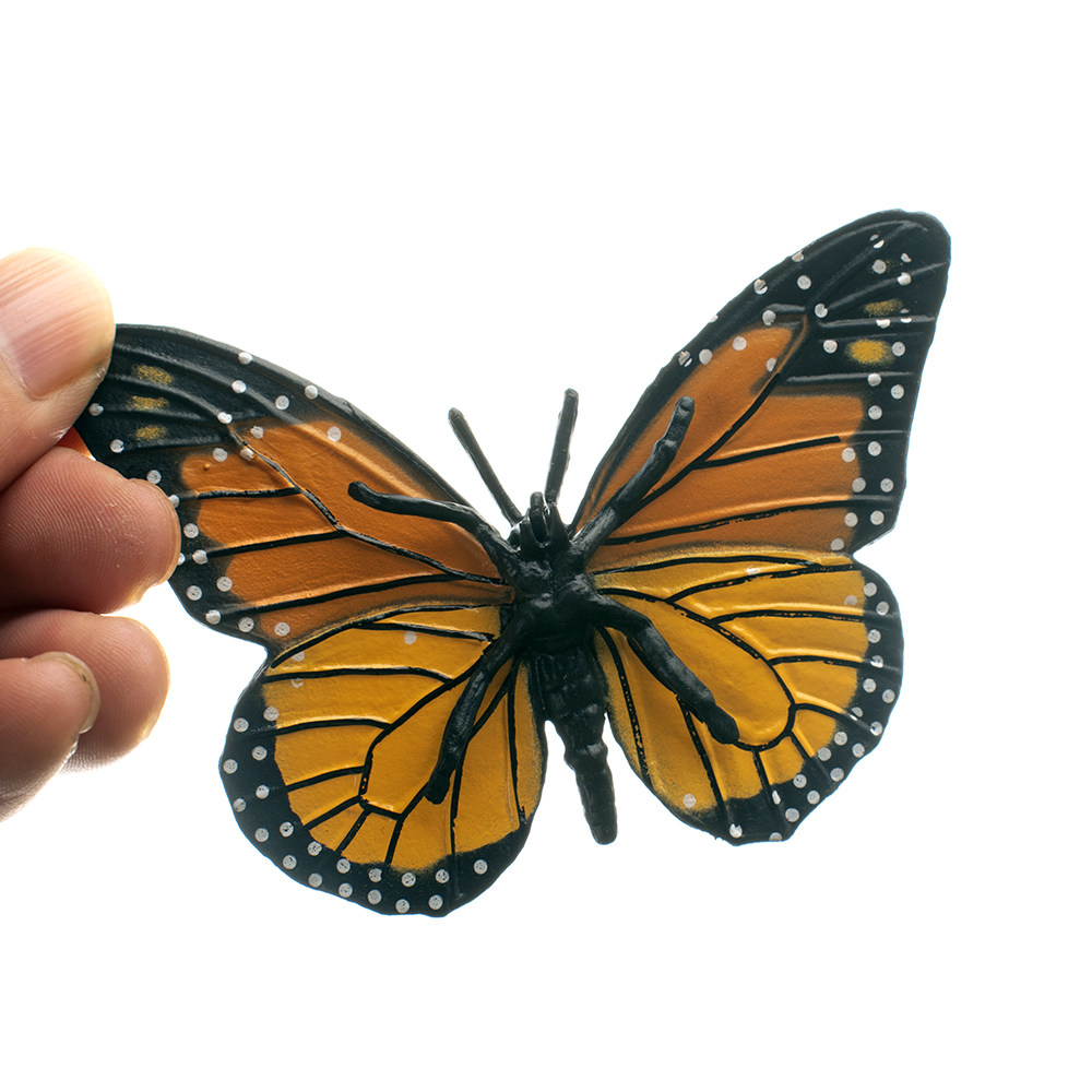 蝴蝶成长周期模型昆虫成长过程毛毛虫模型儿童玩具早教认证玩具,淘宝优惠券,粉丝福利购,淘宝优惠卷