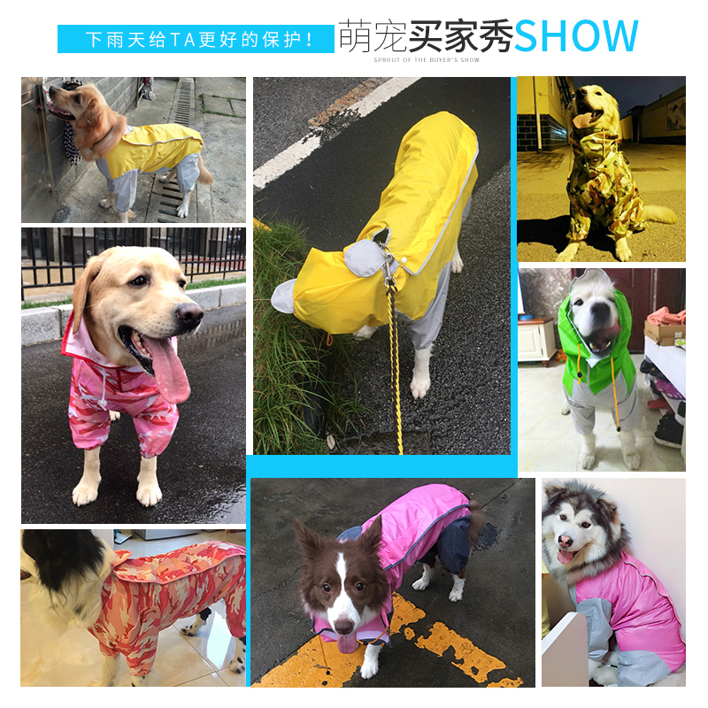 大狗雨衣四脚防水大型犬金毛拉布拉多狗狗衣服全包中型犬宠物雨披 - 图2