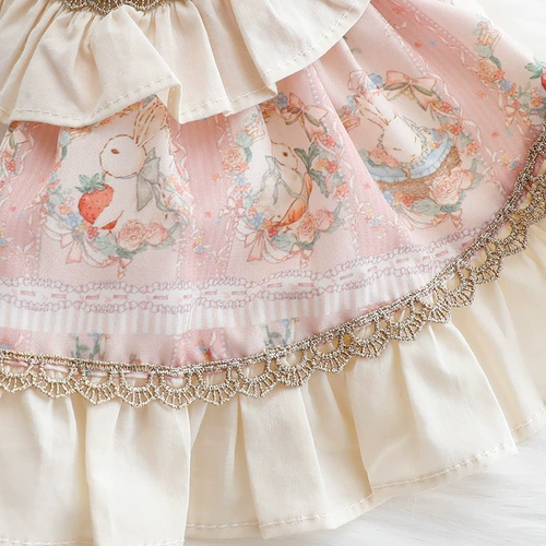 Собачья одежда кошка принцесса