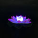 Yishangcheng Lotus Lanterns Colorful Luminous Wishing Festival