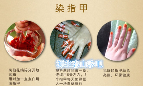 新鲜染指甲花凤仙花桃红指甲草花白色红色凤仙花粉纯植物染发 - 图1