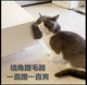 Cat corner hair scrubber for cat scratching
