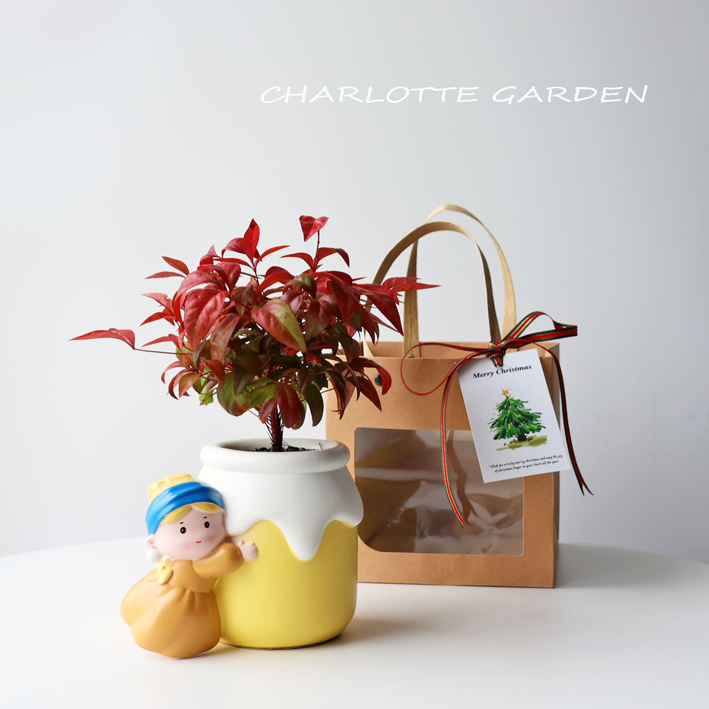 圣诞节新年礼物 卡通可爱 室内办公室工位桌面好养创意绿植盆栽,淘宝优惠券,粉丝福利购,淘宝优惠卷