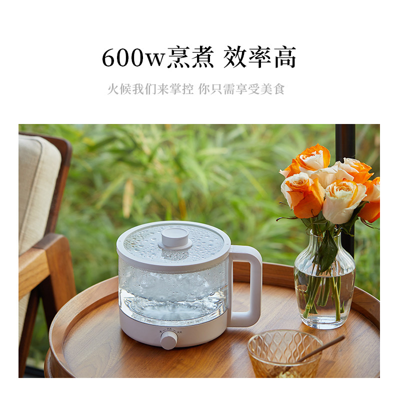 olayks养生锅煲汤小电锅燕窝养生壶 olayks雅都电炖/煮粥锅/文火炉