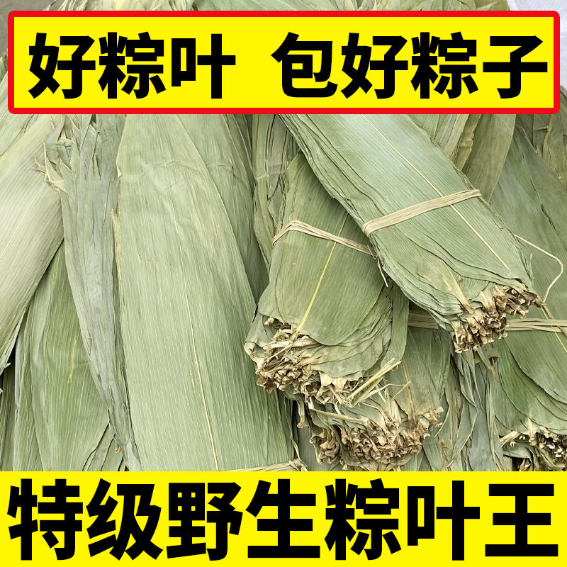 【大】粽叶包邮干粽叶新鲜野生大粽叶子包粽子叶非芦苇叶家用商用