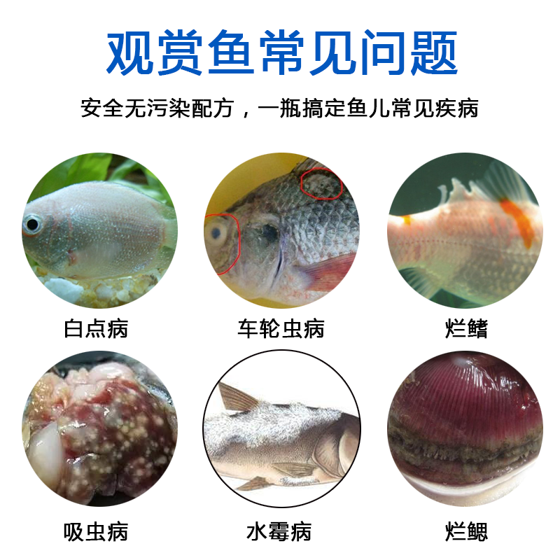 TAIYO太阳TDC海水缸检疫水白点烂肉掉鳞片淡海水鱼检疫杀菌治疗剂-图0