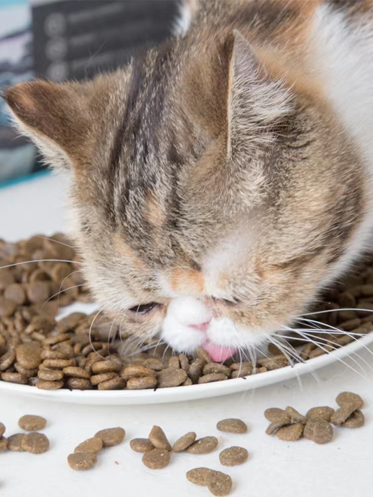 爱肯拿猫粮鸡肉1.8kg成猫幼猫5.4试吃装猫营养主粮大进口无标金素 - 图2