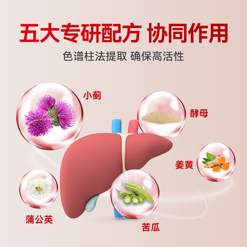 Naturies奈氏力斯奶蓟草苦瓜酵母复合加班熬夜喝酒应酬新西兰进口 - 图1