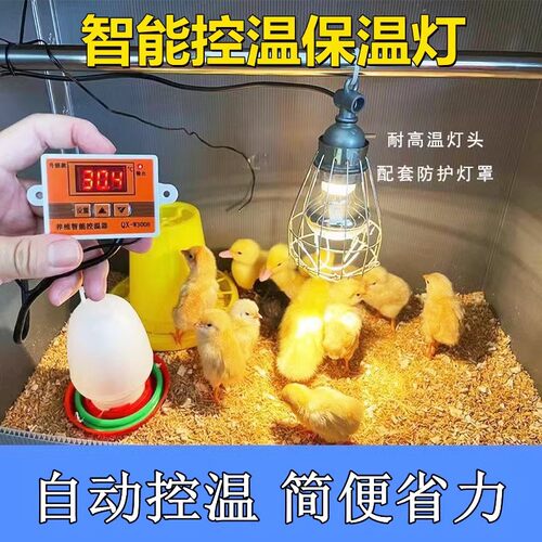 智能控温灯芦丁鸡取暖加热鸟保暖灯防水防爆可调温养殖灯加热恒温 - 图0