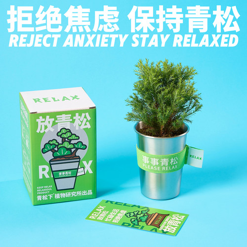 青松下-放青松雾松罗汉松植物盆栽懒人好养办公桌面绿植创意礼物_虎窝淘