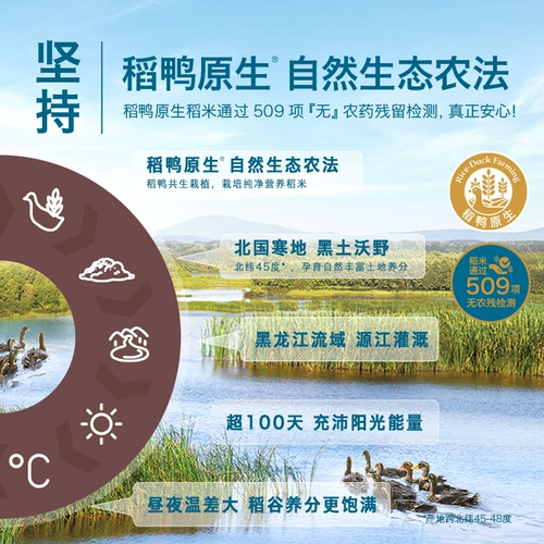 Heya Duck Duck Plasma bei торт 1 бокс -бокс boxing детские закуски моделирование сыра печенье не добавить белый чистый